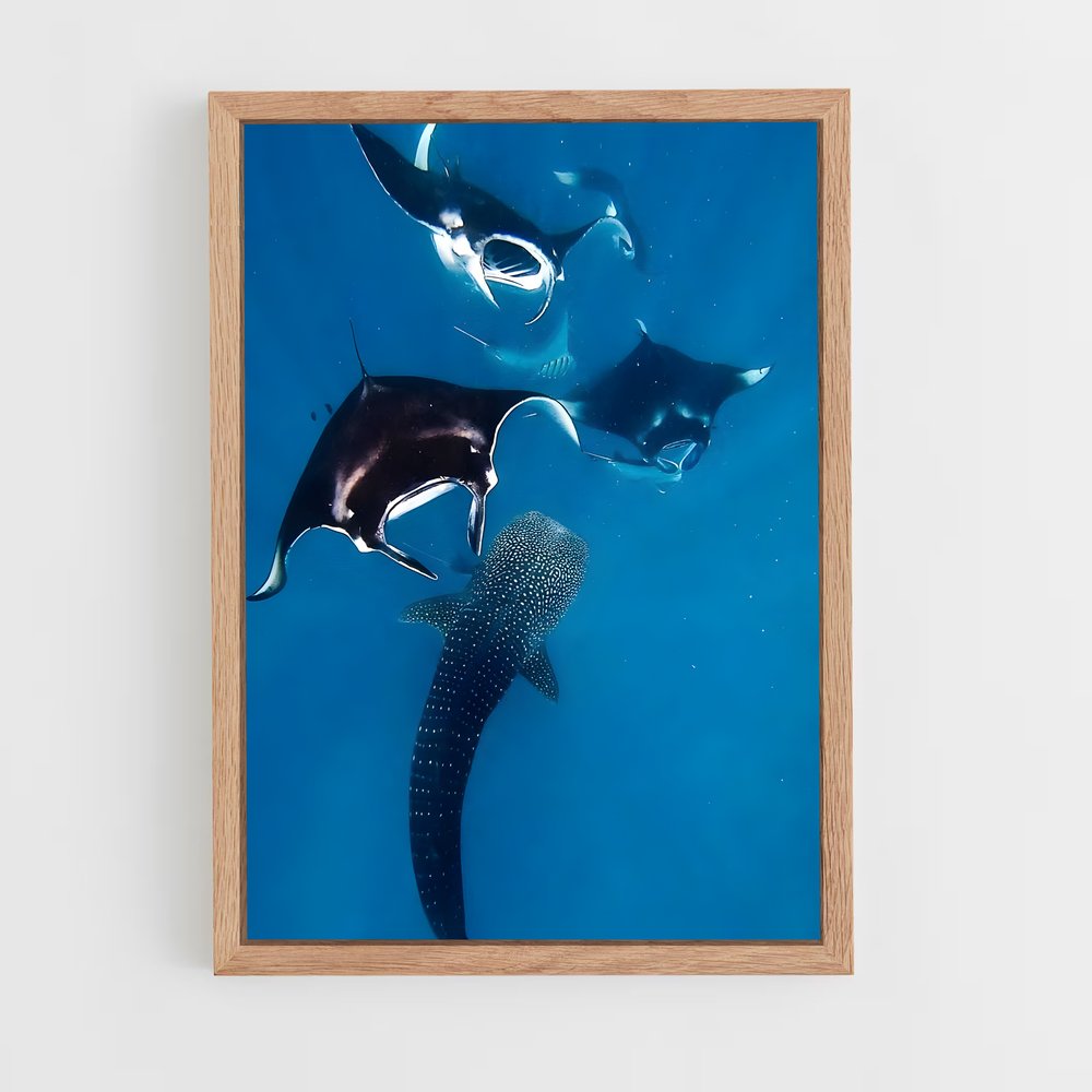 Poster Dance with Giants – affiche Plongée sous-marine (vue 4)